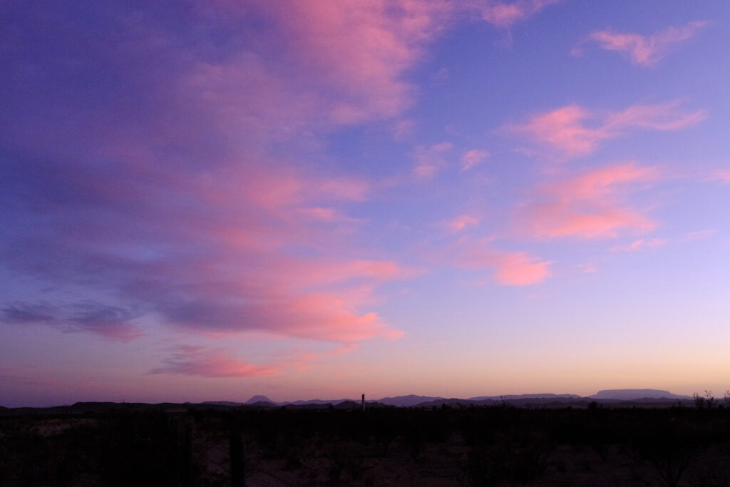 Too distant to record —Laura Moriarty