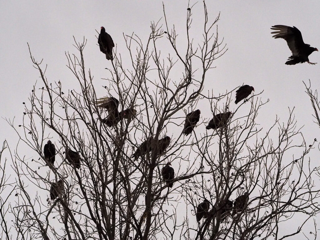 of love. They know darkness overhead