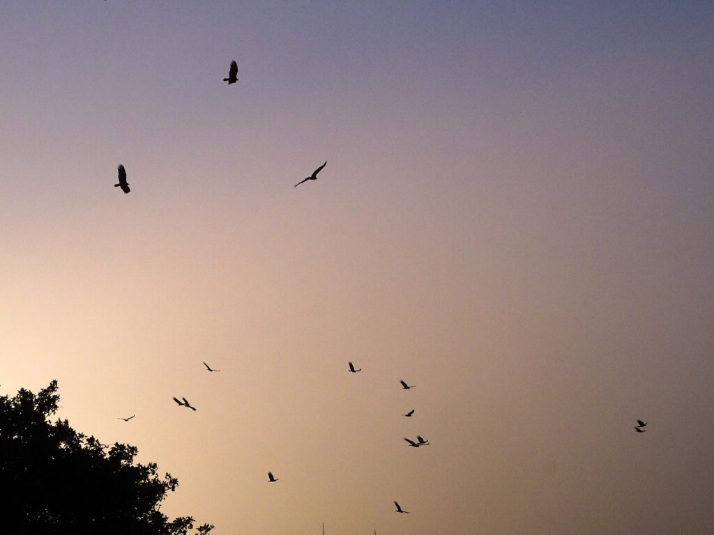 kind, perhaps in the nook