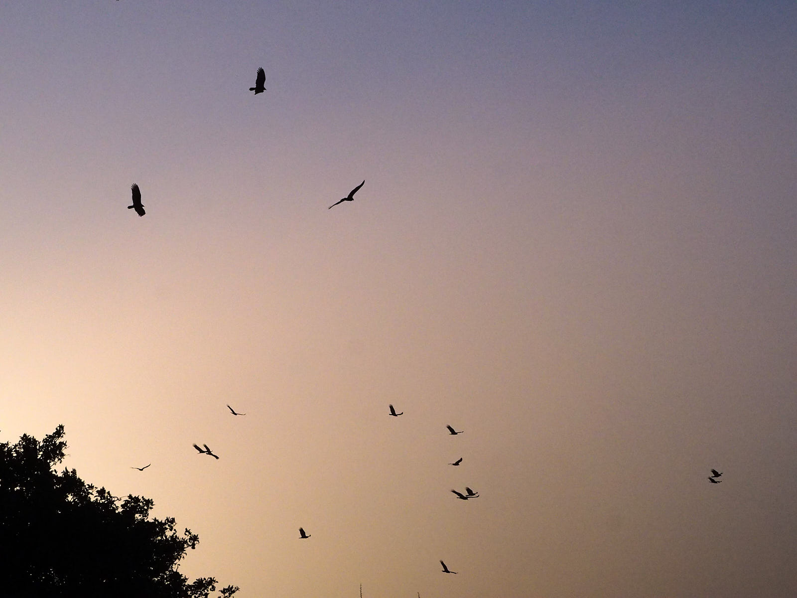 Perhaps I am somewhere patient, somehow