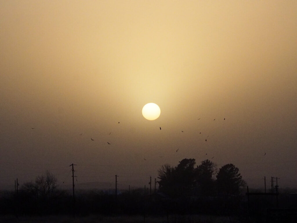 of a cousin universe I’ve never defiled or betrayed