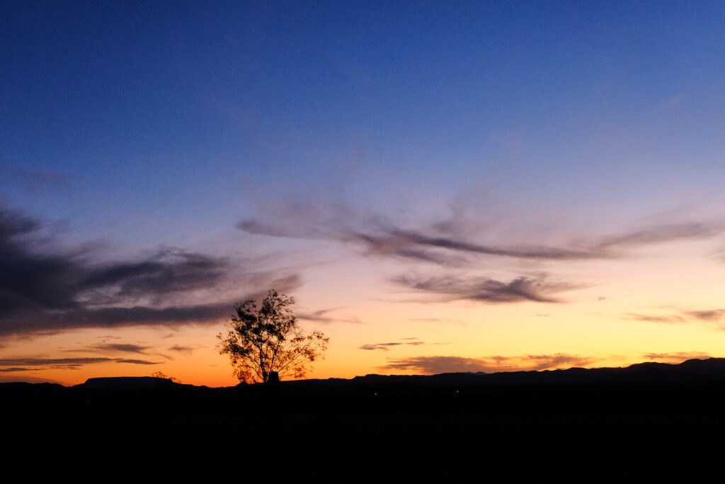 I am calling for the lovers. —René Char, translated by G. Young