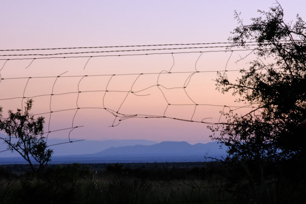 of silence. —Federico Garcia Lorca, translated by Stanley Read