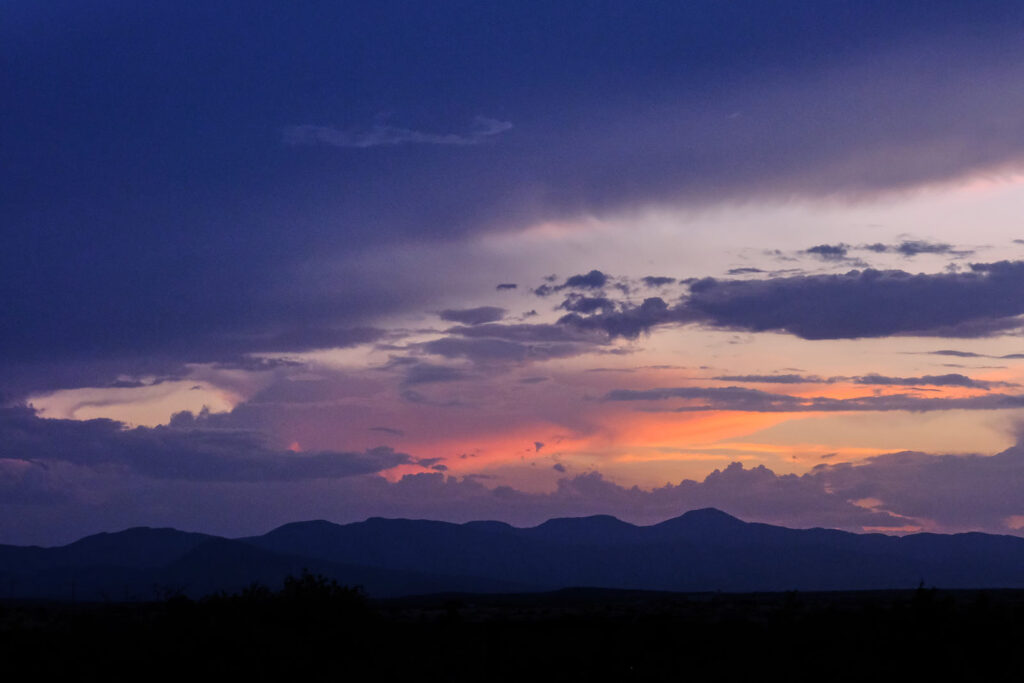 open the dam of Goodbye.—Lily Brown