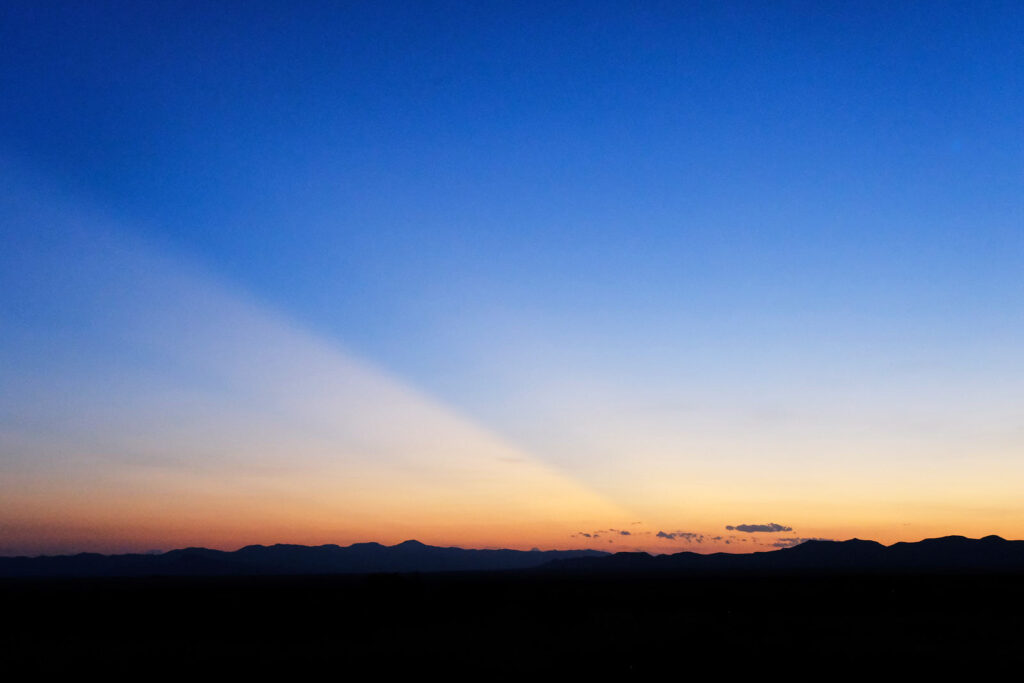 to have everything back. —Ali Shapiro