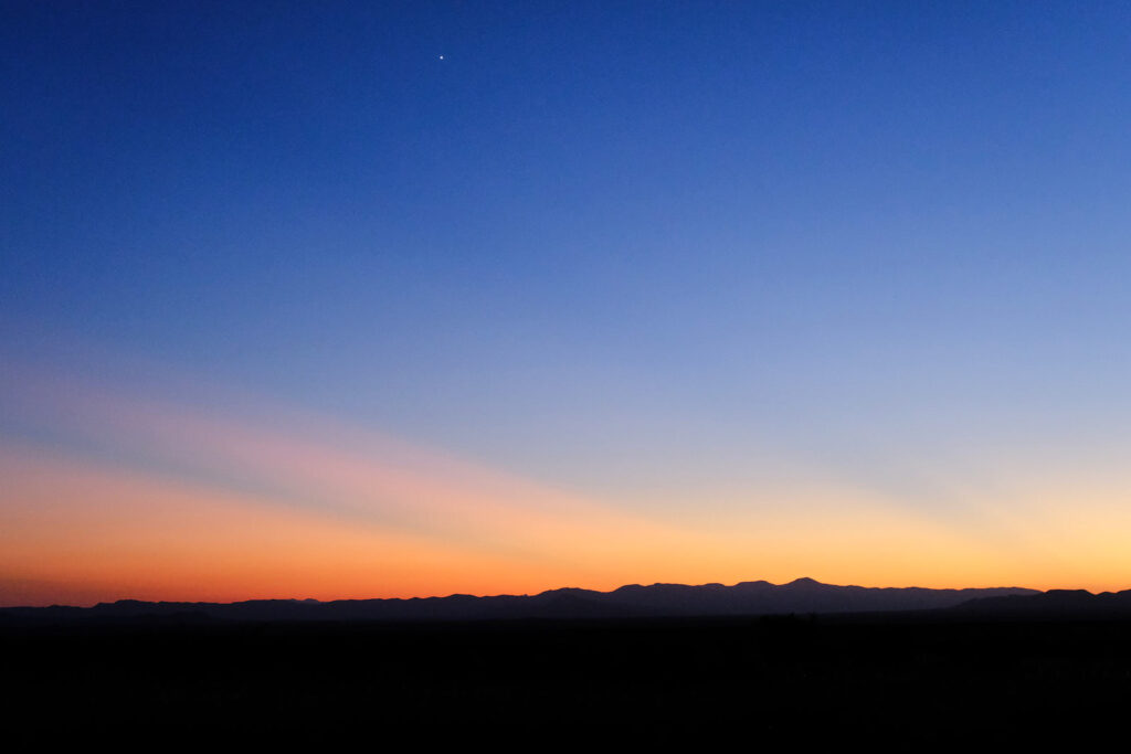 love each day —CA Conrad