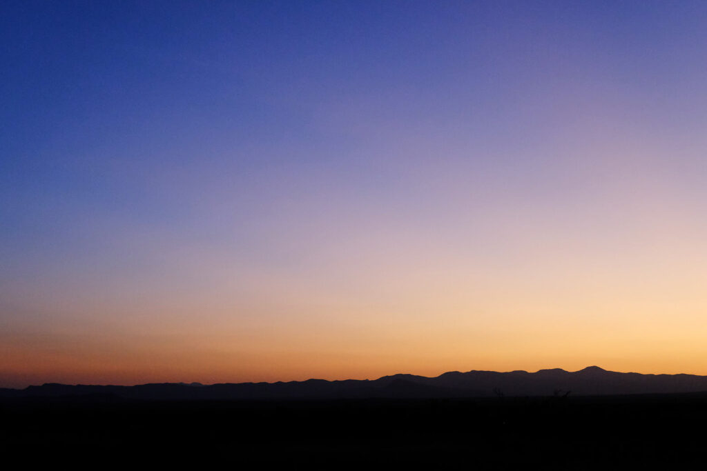 WHAT YOU LOVE IS YOUR FATE —Frank Bidart