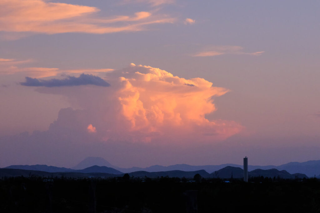 and the late afternoon —Joan Larkin