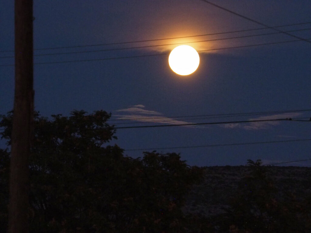 hide back their luminous form