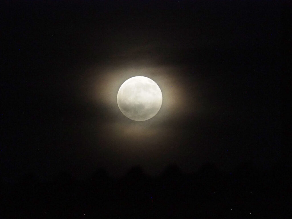 silvery —Sappho, translated by Anne Carson