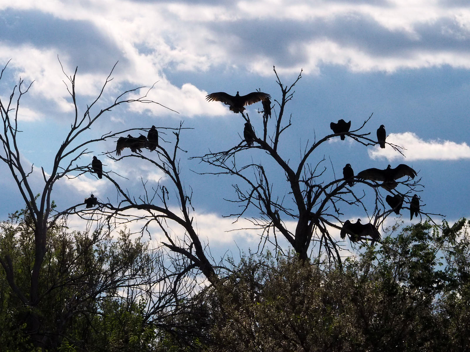 Over the gulfs of dream